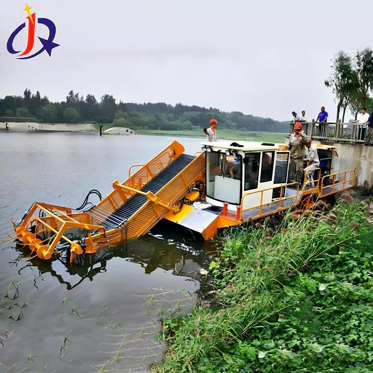 סירת חותך יקינתון ועשב ברווז